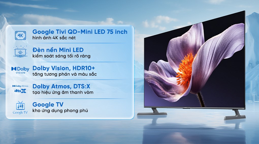 tivi xiaomi 65 inch thanh hóa