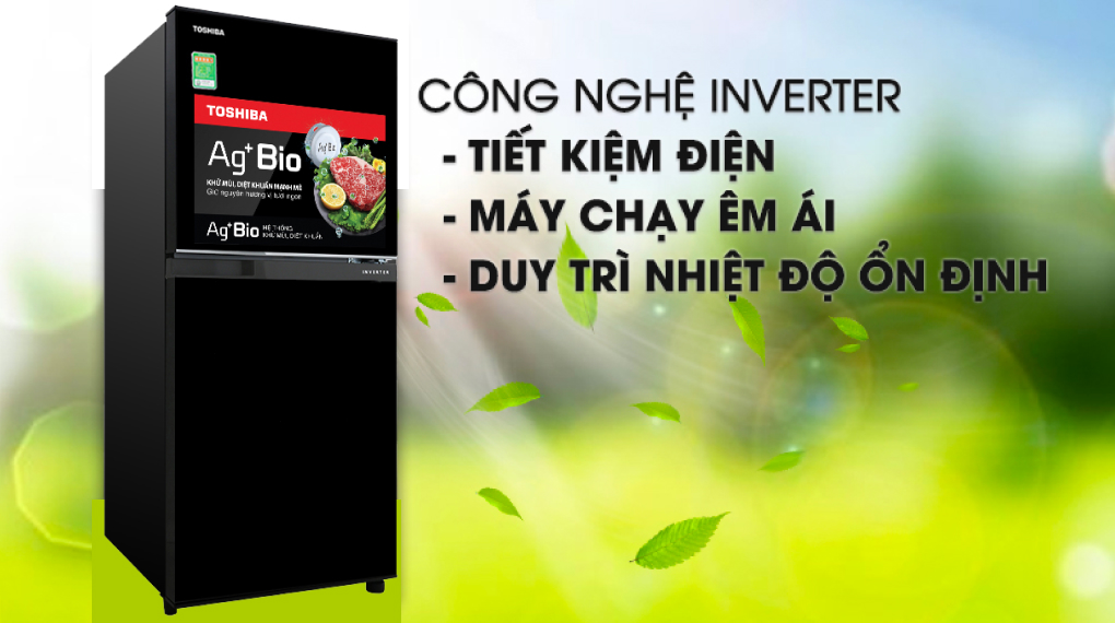 Mua Tủ Lạnh Toshiba Tại Thanh Hóa - Inverter 180 Lít GR-B22VU(UKG) - Ảnh 8