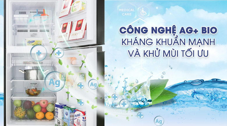 Mua Tủ Lạnh Toshiba Tại Thanh Hóa - Inverter 180 Lít GR-B22VU(UKG) - Ảnh 3