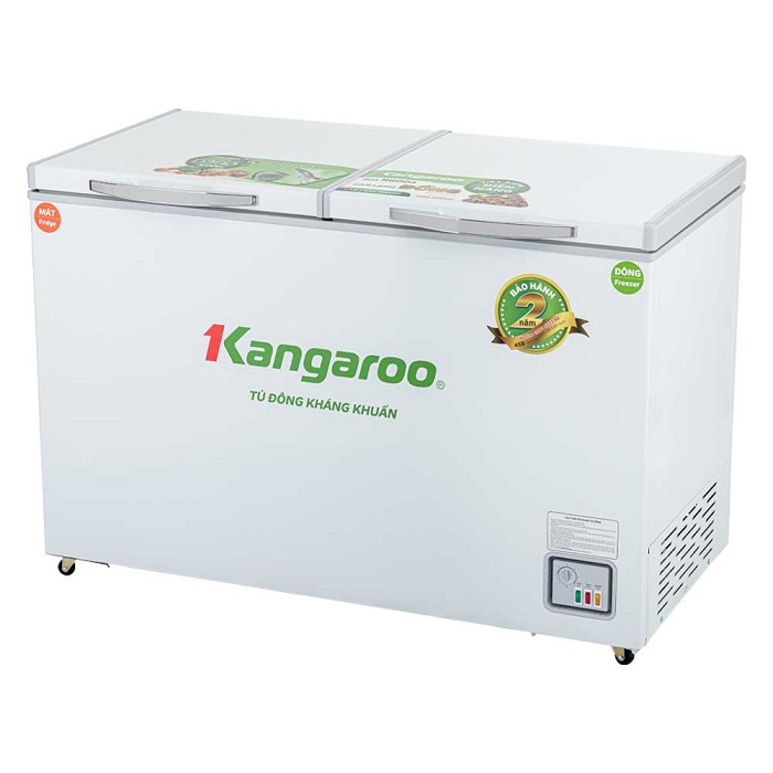 Tủ Đông Thanh Hóa – Mua Bán, Lắp Đặt & Sửa Chữa Tận Nơi Uy Tín 24/7 - Ảnh 4